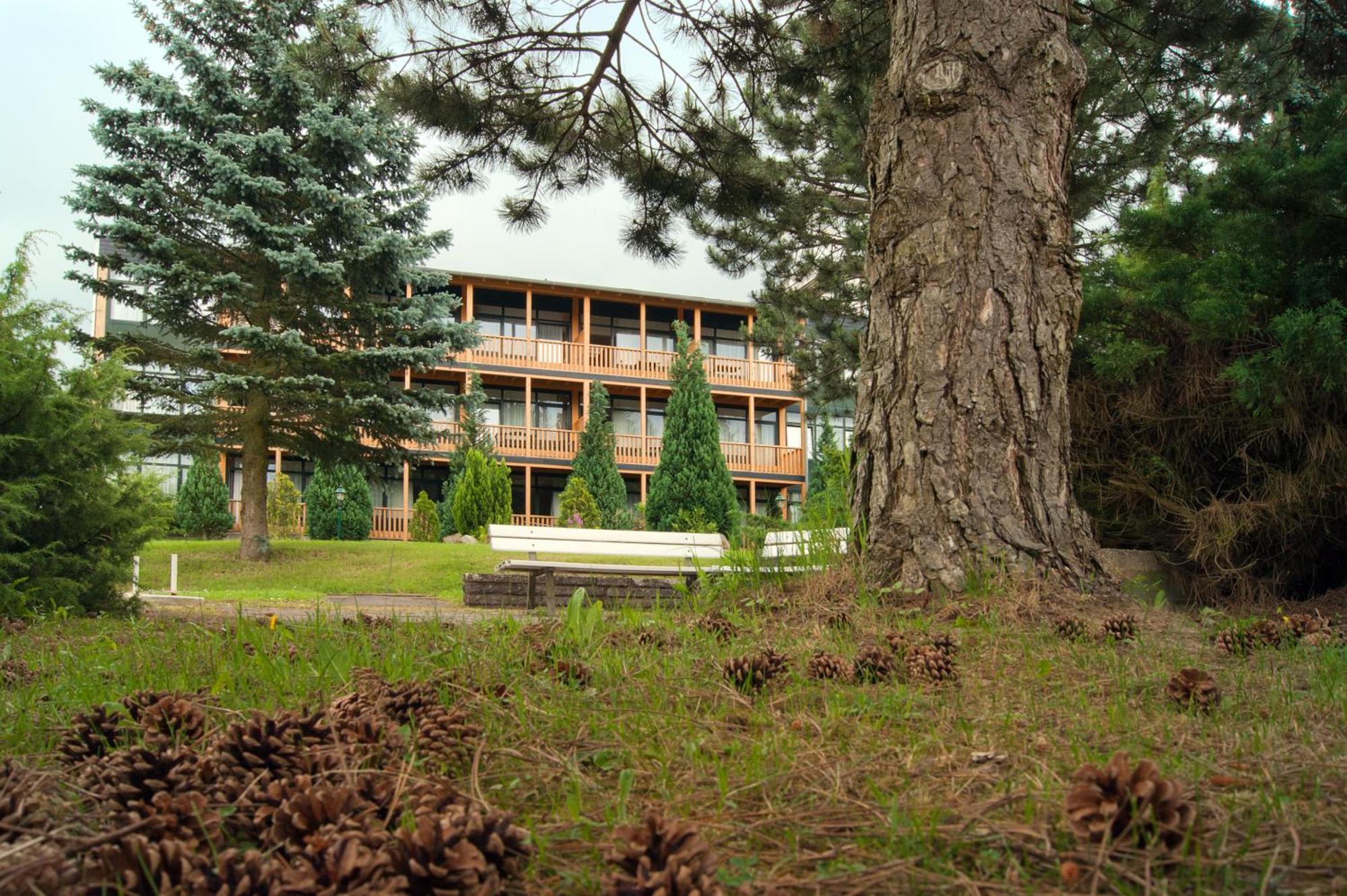 Landhotel Harz Thale Exteriér fotografie